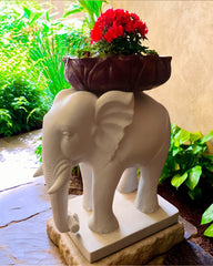 Kaliru Uruli Sivasaviwoodworks